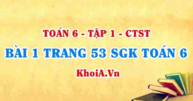 Bài 1 trang 53 SGK Toán 6 Chân trời sáng tạo Tập 1
